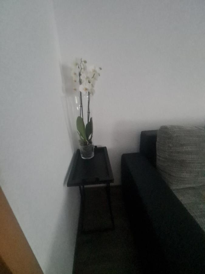 Appartamento Paula Haus Treviri Esterno foto